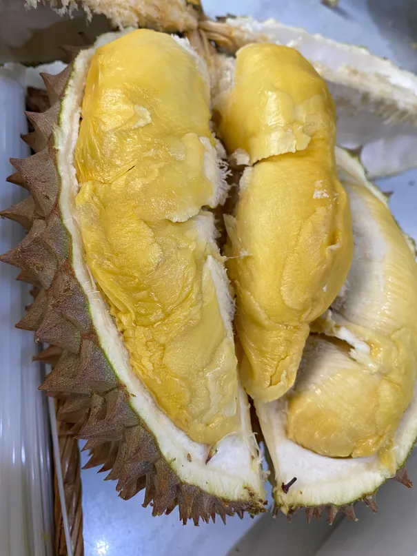 Daging durian Musangking