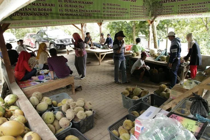 Warung display Sahara Durian Farm dengan keranjang-keranjang durian