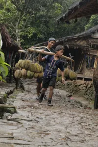 Bocah Baduy memikul durian bersama pemuda di jalan kampung