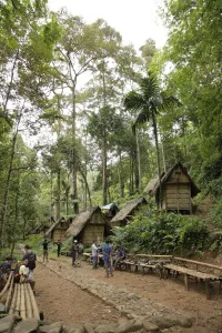 Rumah-rumah adat Baduy di bawah pepohonan tinggi