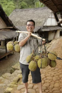 Pria berkacamata memikul durian di jalan batu kampung Baduy