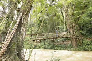 Jembatan bambu di atas sungai di Baduy