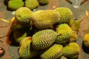 Durian Masohi berbentuk lonjong bertumpuk di lapak
