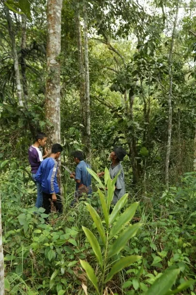 Rombongan warga di tengah hutan menuju pohon durian si Inyiak