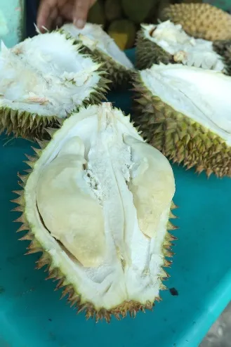 Durian berdaging putih terbelah di atas meja