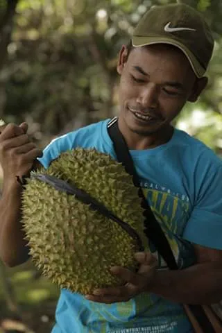 Pria bertopi memegang durian besar yang diikat tali