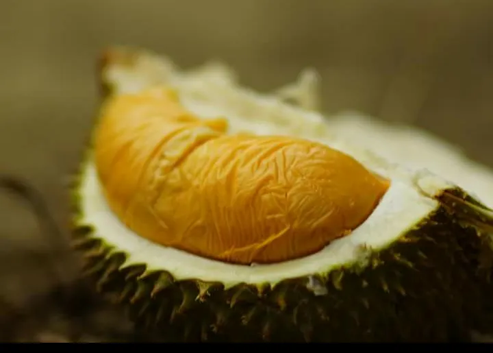 Daging durian Empe berwarna oranye berkerut