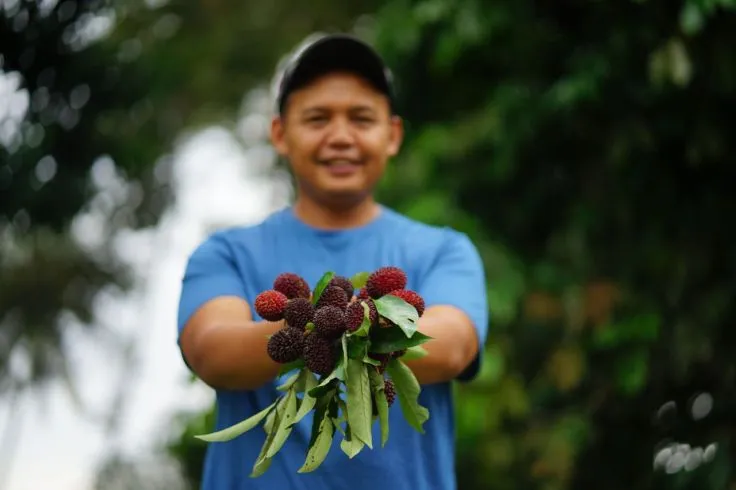 Pemuda menyodorkan seikat buah pulasan merah