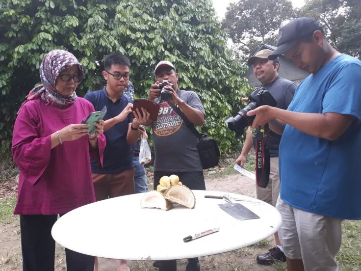 Peserta tur memotret durian di atas meja bundar di kebun