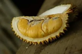 Sebelah durian berdaging kuning keemasan di atas kayu
