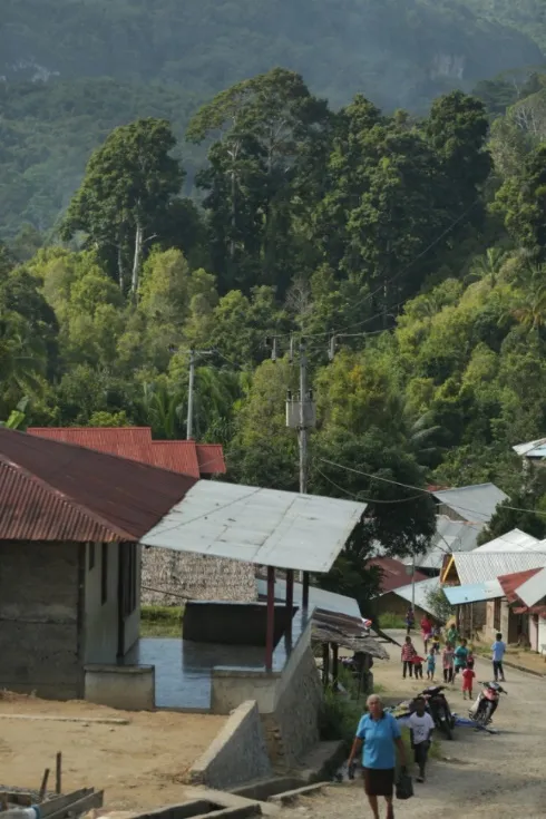 Kampung Buria di lembah berpepohonan tinggi