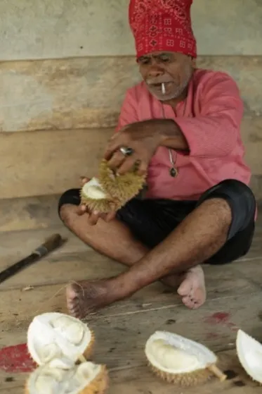 Pria berikat kepala merah membelah durian berdaging putih