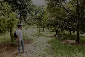 Pria berdiri di jalan setapak kebun durian
