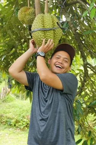 Pria tertawa memegang durian montong besar yang masih di pohon