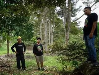 Tiga penggila durian berdiri di bawah pohon durian tua di kebun H Ulung