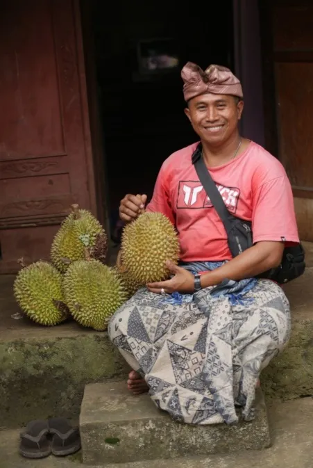Pria berudeng Bali duduk di tangga bersama tumpukan durian