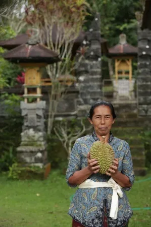 Ibu berkebaya memegang durian di halaman pura