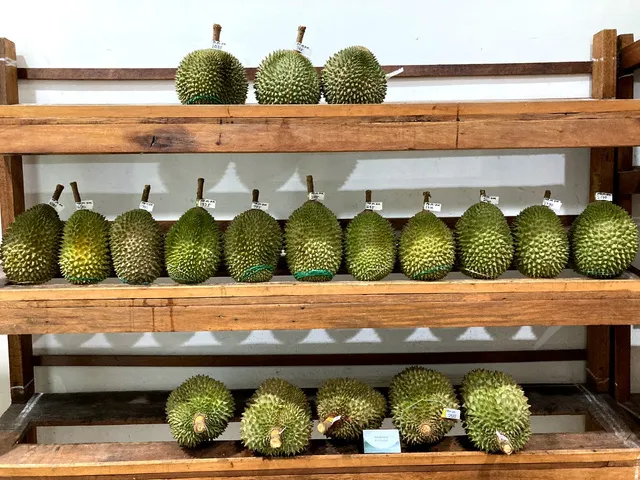 Rak berisi durian utuh siap kirim